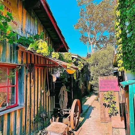 Casa Jane 居让梅斯特拉