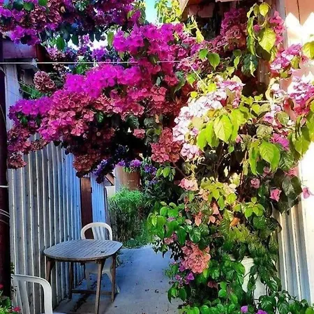 Casa Jane *